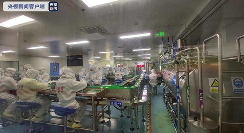 瓣瓣同心 携手共进丨 舌尖上的京津冀 霸州打造京津雄地区中央厨房