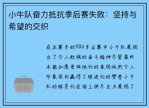 小牛队奋力抵抗季后赛失败：坚持与希望的交织
