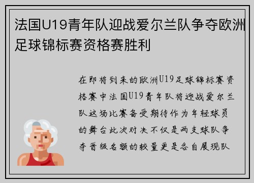 法国U19青年队迎战爱尔兰队争夺欧洲足球锦标赛资格赛胜利