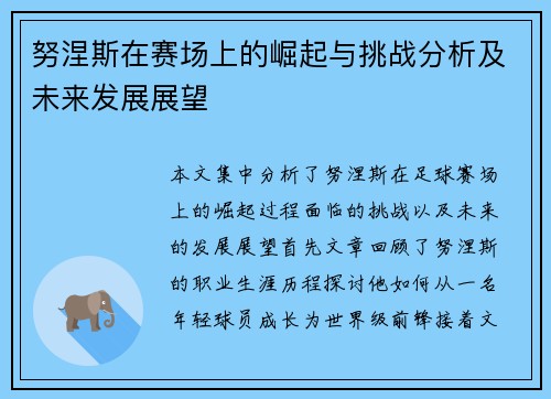 努涅斯在赛场上的崛起与挑战分析及未来发展展望